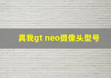 真我gt neo摄像头型号